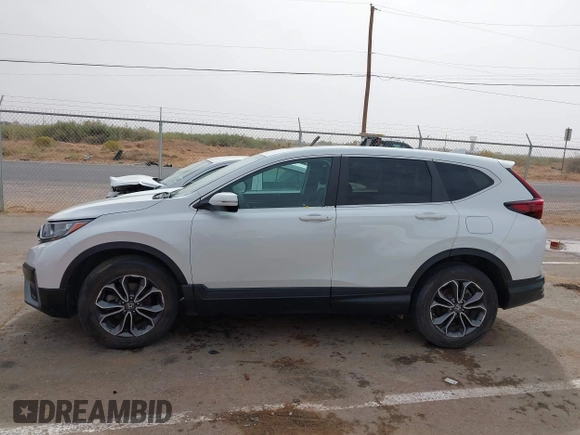 2022 Honda CR-V EX with VIN 7FARW2H50NE052730, listed as a IAAI auction lot 40717699 with 19,514 mi miles and . Bid and sale history available at DreamBid. Image 14.