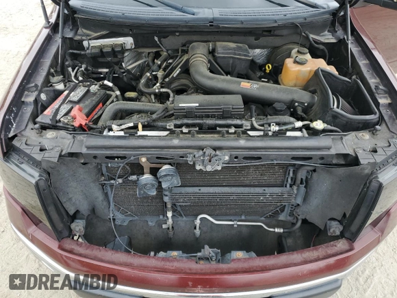 2009 Ford F-150 XL with VIN 1FTPW14V49FA35949, listed as a Copart auction lot 55382805 with 160,445 mi miles and Salvage title. Bid and sale history available at DreamBid. Image 11.