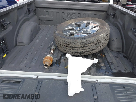 2023 Ford F-150 Lightning Pro with VIN 1FTVW1EV3PWG60491, listed as a IAAI auction lot 41507485 with 19,148 mi miles and . Bid and sale history available at DreamBid. Image 12.