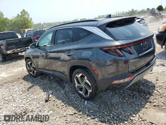2023 Hyundai Tucson Limited with VIN 5NMJE3AE6PH213403, listed as a Copart auction lot 63034154 with 18,059 mi miles and Salvage Title. Bid and sale history available at carsss.com. Image 2.