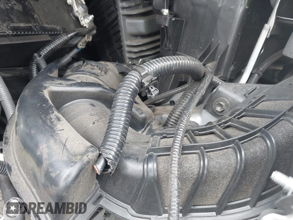 2019 Lexus NX 300 с VIN JTJYARBZ9K2158017, выставлен на аукционе IAAI как лот 42078770 с пробегом Не указан миль и . История ставок и продаж доступна на DreamBid. Изображение 18.