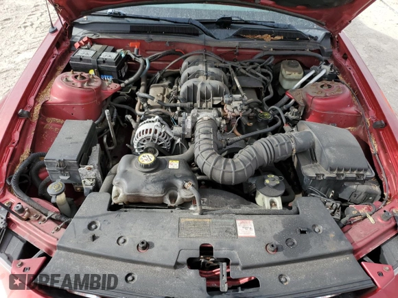 2006 Ford Mustang Standard with VIN 1ZVFT80N065258510, listed as a Copart auction lot 54848675 with 116,209 mi miles and Clean title. Bid and sale history available at DreamBid. Image 11.