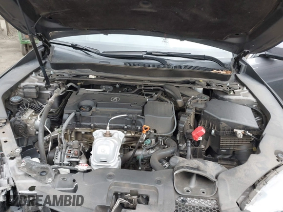 2019 Acura TLX with VIN 19UUB1F36KA004085, listed as a IAAI auction lot 41664344 with 115,125 mi miles. Bid and sale history available at carsss.com. Image 10.