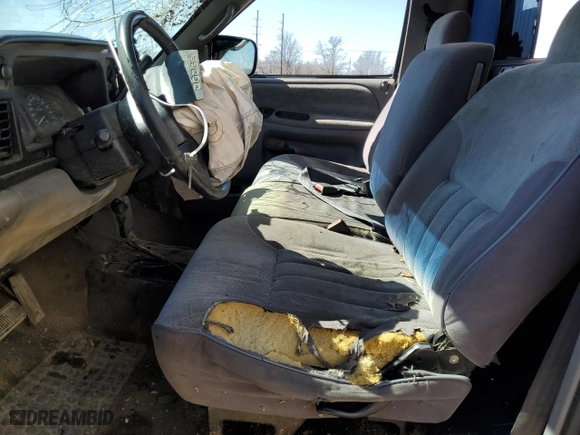 1996 Dodge Ram 1500 with VIN 1B7HF16Z2TS559281, listed as a Copart auction lot 48522865 with 118,368 mi miles and Non Repairable. Bid and sale history available at carsss.com. Image 7.
