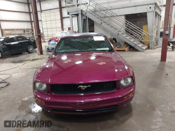 2005 Ford Mustang Deluxe with VIN 1ZVFT84N555227763, listed as a IAAI auction lot 41692270 with 150,423 mi miles. Bid and sale history available at carsss.com. Image 12.
