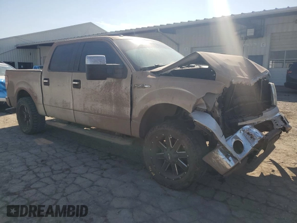 2010 Ford F-150 XL with VIN 1FTEW1C82AFD04120, listed as a Copart auction lot 48870955 with 209,719 mi miles and Salvage Title. Bid and sale history available at carsss.com. Image 4.