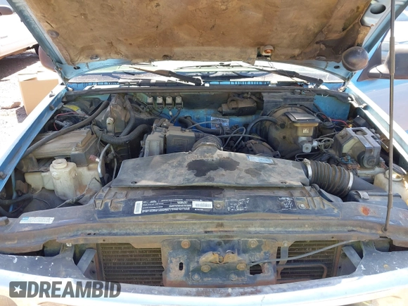 1996 Chevrolet S-10 with VIN 1GCCS1447T8157430, listed as a IAAI auction lot 41998677 with 242,109 mi miles and . Bid and sale history available at DreamBid. Image 10.