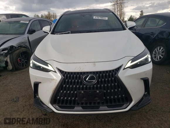 2022 Lexus NX with VIN JTJHKCEZ2N2005490, listed as a Copart auction lot 50344684 with 21,937 mi miles and Salvage Title. Bid and sale history available at carsss.com. Image 5.