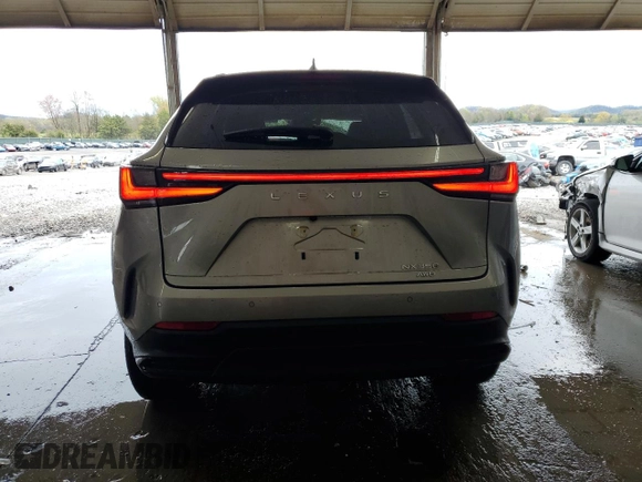 2022 Lexus NX 350 Premium с VIN 2T2GGCEZ8NC008617, выставлен на аукционе Copart как лот 51159575 с пробегом 19 485 миль миль и Списание • Salvage title. История ставок и продаж доступна на DreamBid. Изображение 6.