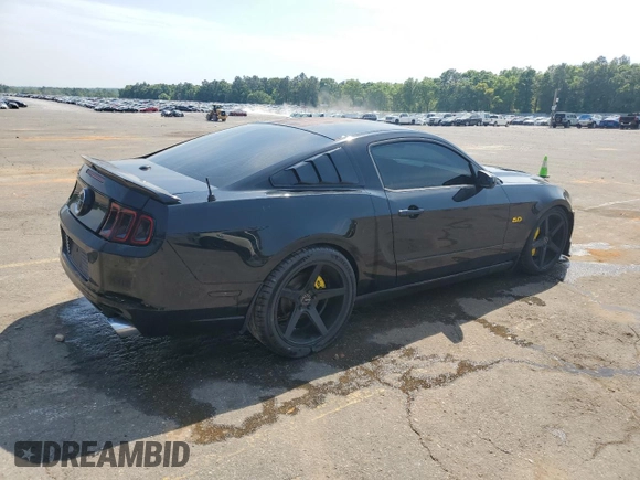 2013 Ford Mustang GT with VIN 1ZVBP8CF2D5202086, listed as a Copart auction lot 52985025 with 83,074 mi miles and Salvage Title. Bid and sale history available at DreamBid. Image 3.