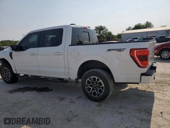 2023 Ford F-150 XL with VIN 1FTFW1E81PFA70563, listed as a Copart auction lot 60440685 with 31,198 mi miles and Salvage title. Bid and sale history available at DreamBid. Image 2.