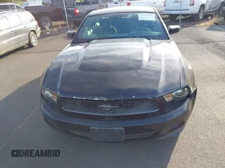 2011 Ford Mustang V6 with VIN 1ZVBP8AM4B5116826, listed as a IAAI auction lot 41436357 with 121,700 mi miles and . Bid and sale history available at carsss.com. Image 6.