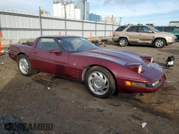 1993 Chevrolet Corvette z VIN 1G1YY23P5P5110452, wystawiony jako Copart lot #43111505 z przebiegiem 96 357 mil mil oraz Szkoda całkowita • Salvage title. Historia ofert i sprzedaży dostępna na DreamBid. Obrazek 4.