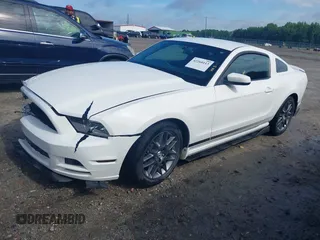2013 Ford Mustang V6 with VIN 1ZVBP8AMXD5281234, listed as a IAAI auction lot 42260113 with 124,188 mi miles and . Bid and sale history available at DreamBid. Image 17.