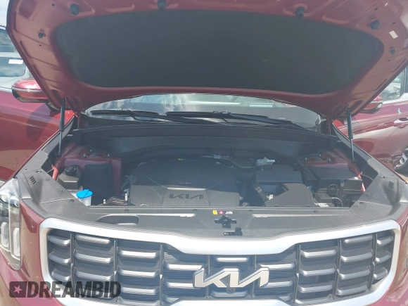 2023 Kia Telluride SX X-Pro with VIN 5XYP5DGC9PG384453, listed as a IAAI auction lot 42556697 with 4,641 mi miles and . Bid and sale history available at DreamBid. Image 10.