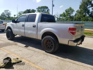 2013 Ford F-150 XL with VIN 1FTFW1EF8DKD89623, listed as a Copart auction lot 57094125 with 238,821 mi miles and Salvage title. Bid and sale history available at DreamBid. Image 2.