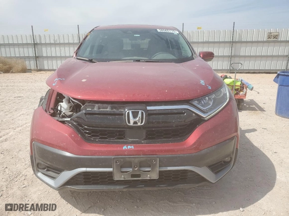 2022 Honda CR-V EX with VIN 5J6RW1H54NA004608, listed as a Copart auction lot 50565115 with 19,564 mi miles and Salvage Title. Bid and sale history available at carsss.com. Image 5.