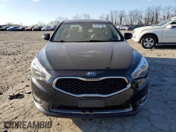 2014 Kia Cadenza Premium with VIN KNALN4D71E5161624, listed as a Copart auction lot 46148195 with 138,563 mi miles and Clean Title. Bid and sale history available at carsss.com. Image 5.