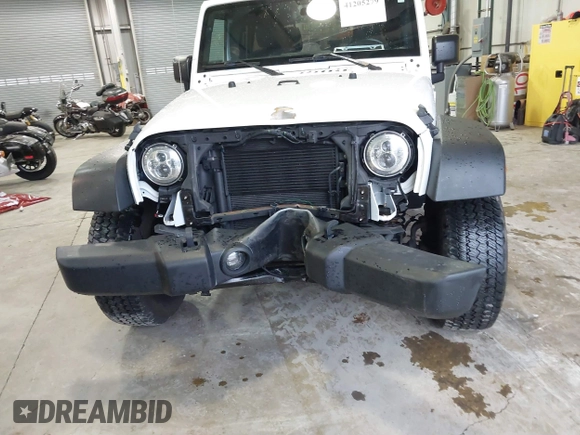 2018 Jeep Wrangler Unlimited Sport with VIN 1C4BJWDG8JL859885, listed as a IAAI auction lot 41205279 with 47,941 mi miles and . Bid and sale history available at DreamBid. Image 6.