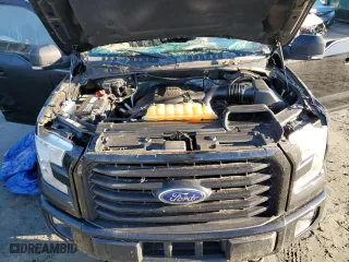 2016 Ford F-150 XLT with VIN 1FTEW1EG1GFD49398, listed as a Copart auction lot 81835724 with 76,030 mi miles and Salvage Title. Bid and sale history available at carsss.com. Image 11.