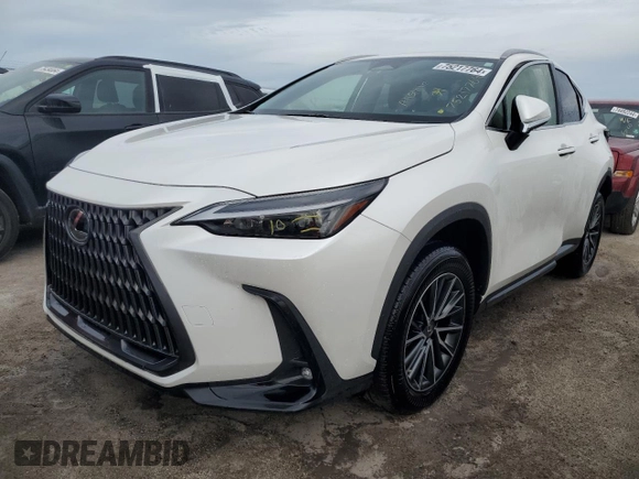 2022 Lexus NX with VIN JTJADCAZ1N5001141, listed as a Copart auction lot 75217764 with 0 mi miles and Salvage Title. Bid and sale history available at carsss.com. Image 1.