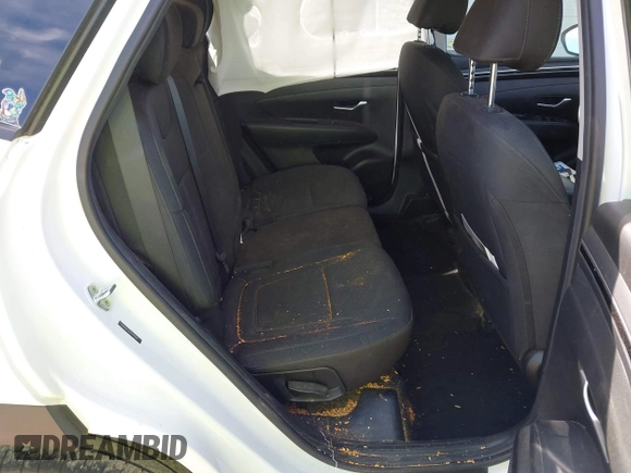 2023 Hyundai Tucson SEL with VIN 5NMJBCAE2PH190887, listed as a IAAI auction lot 41800623 with 32,187 mi miles and . Bid and sale history available at DreamBid. Image 8.