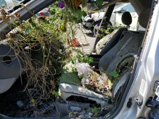 1990 Lexus LS z VIN JT8UF11E4L0025101, wystawiony jako Copart lot #68632084 z przebiegiem Nie podano mil oraz Szkody całkowita. Historia ofert i sprzedaży dostępna na DreamBid. Obrazek 7.