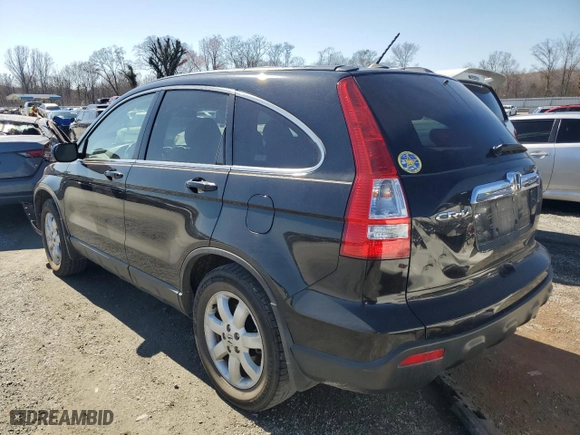 2009 Honda CR-V EX-L with VIN 5J6RE38729L028819, listed as a Copart auction lot 48864505 with 169,315 mi miles and Salvage Title. Bid and sale history available at carsss.com. Image 2.