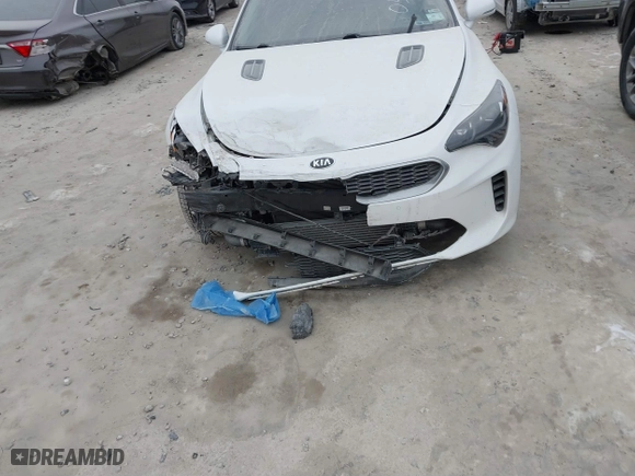 2019 Kia Stinger Premium with VIN KNAE25LAXK6054730, listed as a IAAI auction lot 41392041 with 62,457 mi miles. Bid and sale history available at carsss.com. Image 13.