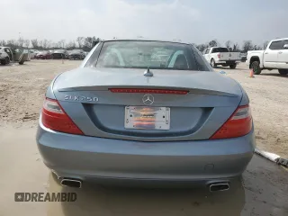 2013 Mercedes-Benz SLK 250 with VIN WDDPK4HA1DF057927, listed as a Copart auction lot 49314755 with 53,876 mi miles and Salvage title. Bid and sale history available at DreamBid. Image 6.