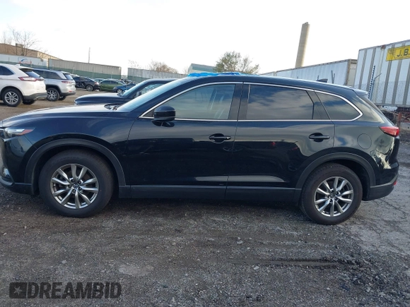 2017 Mazda CX-9 Touring with VIN JM3TCBCY5H0142400, listed as a IAAI auction lot 40987166 with 118,000 mi miles. Bid and sale history available at carsss.com. Image 13.