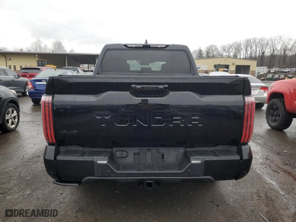 2024 Toyota Tundra 4WD Platinum with VIN 5TFNA5DB8RX228795, listed as a Copart auction lot 49175165 with 527 mi miles and Salvage Title. Bid and sale history available at carsss.com. Image 6.