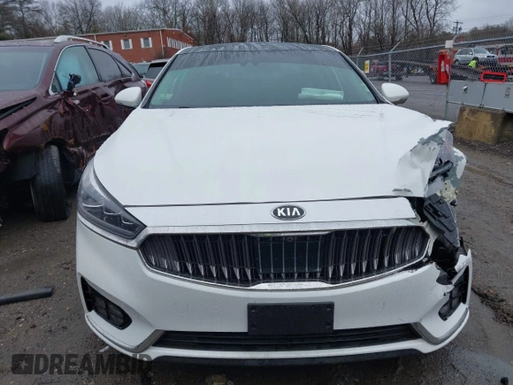 2018 Kia Cadenza Limited with VIN KNALC4J11J5099335, listed as a IAAI auction lot 41217994 with 55,335 mi miles. Bid and sale history available at carsss.com. Image 12.