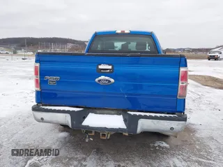 2013 Ford F-150 XL with VIN 1FTFX1ET9DFA00998, listed as a IAAI auction lot 41216058 with 168,995 mi miles and . Bid and sale history available at DreamBid. Image 16.