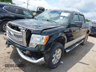 2013 Ford F-150 XL with VIN 1FTFW1EF5DFB95804, listed as a IAAI auction lot 42354290 with 115,206 mi miles and . Bid and sale history available at DreamBid. Image 17.