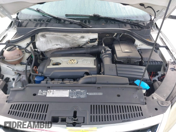 2010 Volkswagen Tiguan SEL with VIN WVGBV7AX6AW521541, listed as a IAAI auction lot 41936952 with 124,499 mi miles and . Bid and sale history available at DreamBid. Image 10.