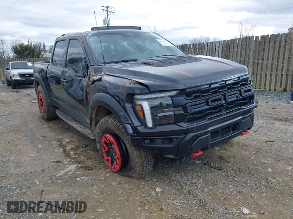 2024 Ford F-150 Raptor with VIN 1FTFW1RJ0RFA93011, listed as a IAAI auction lot 41730526 with 10,213 mi miles and . Bid and sale history available at DreamBid. Image 1.