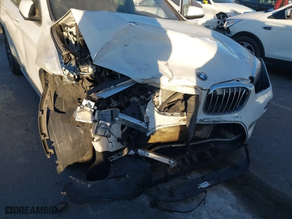 2019 BMW X1 sDrive28i with VIN WBXHU7C54K3H45462, listed as a IAAI auction lot 41209117 with 52,719 mi miles. Bid and sale history available at carsss.com. Image 6.