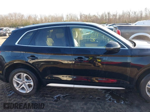 2019 Audi Q5 Premium with VIN WA1ANAFY7K2043454, listed as a IAAI auction lot 41620464 with 57,516 mi miles. Bid and sale history available at carsss.com. Image 13.