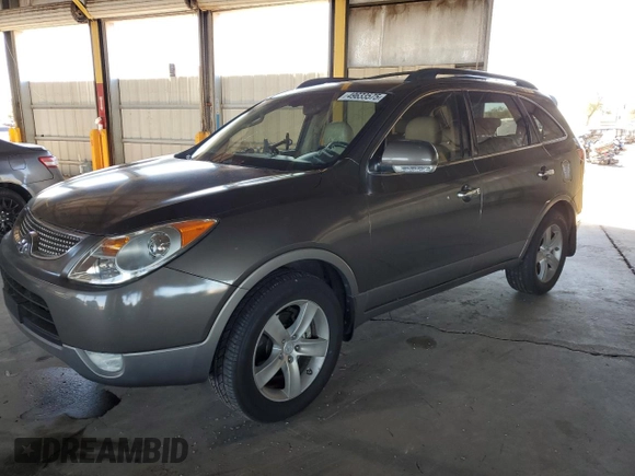 2009 Hyundai Veracruz GLS with VIN KM8NU13CX9U082813, listed as a Copart auction lot 49633575 with 183,370 mi miles and Salvage title. Bid and sale history available at DreamBid. Image 1.
