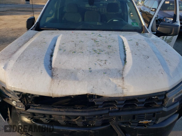 2021 Chevrolet Silverado 1500 Work Truck with VIN 3GCNWAEK4MG286148, listed as a Copart auction lot 75868924 with 47,269 mi miles and Salvage Title. Bid and sale history available at carsss.com. Image 11.