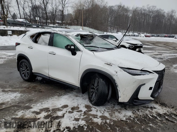 2025 Lexus NX 350 z VIN 2T2AGCEZ7SC061570, wystawiony jako Copart lot #43839055 z przebiegiem Nie podano mil oraz Szkoda całkowita • Salvage title. Historia ofert i sprzedaży dostępna na DreamBid. Obrazek 4.