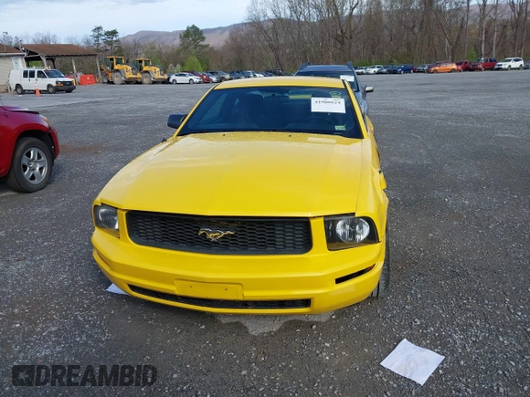 2006 Ford Mustang Standard with VIN 1ZVFT80N065243991, listed as a IAAI auction lot 41900624 with 149,041 mi miles. Bid and sale history available at carsss.com. Image 12.