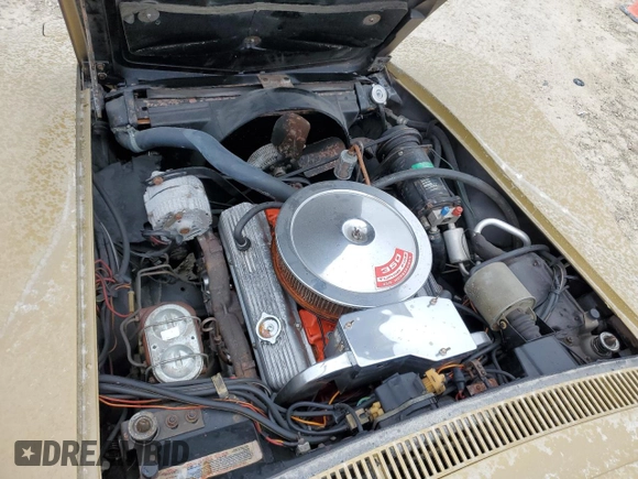 1969 Chevrolet Corvette z VIN 194679S706745, wystawiony jako Copart lot #74731214 z przebiegiem 46 994 mil mil oraz Szkoda całkowita • Salvage title. Historia ofert i sprzedaży dostępna na DreamBid. Obrazek 11.