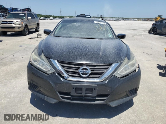2016 Nissan Altima S with VIN 1N4AL3AP4GN336794, listed as a Copart auction lot 56228625 with Not provided miles and Salvage title. Bid and sale history available at DreamBid. Image 5.
