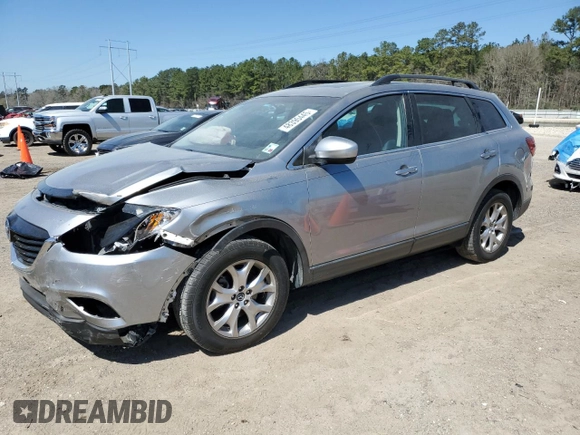 2014 Mazda CX-9 Touring with VIN JM3TB2CA1E0442386, listed as a Copart auction lot 48390445 with 80,166 mi miles and Salvage Title. Bid and sale history available at carsss.com. Image 1.