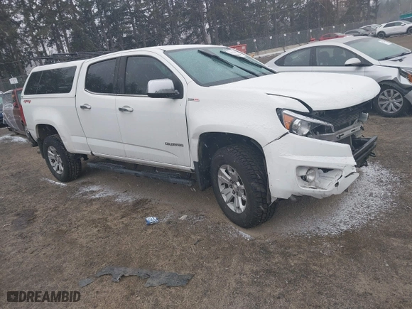 2017 Chevrolet Colorado 4WD LT with VIN 1GCPTCE10H1172303, listed as a IAAI auction lot 41572166 with 141,341 mi miles. Bid and sale history available at carsss.com. Image 1.