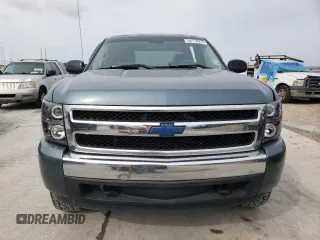 2007 Chevrolet Silverado 1500 Work Truck with VIN 2GCEC13CX71667312, listed as a Copart auction lot 54170015 with 264,176 mi miles and Salvage Title. Bid and sale history available at DreamBid. Image 5.