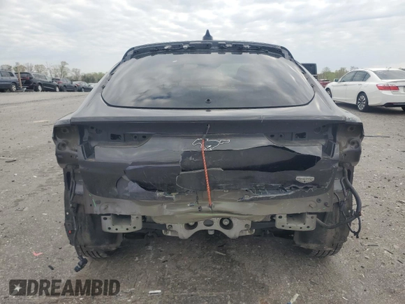 2022 Ford Mustang Mach-E California Route 1 with VIN 3FMTK2SU3NMA41807, listed as a Copart auction lot 49099095 with 54,268 mi miles and Salvage Title. Bid and sale history available at DreamBid. Image 6.
