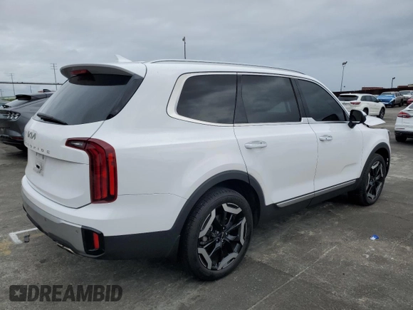 2024 Kia Telluride S with VIN 5XYP64GC0RG426069, listed as a Copart auction lot 48622925 with 19,529 mi miles and Salvage Title. Bid and sale history available at carsss.com. Image 3.